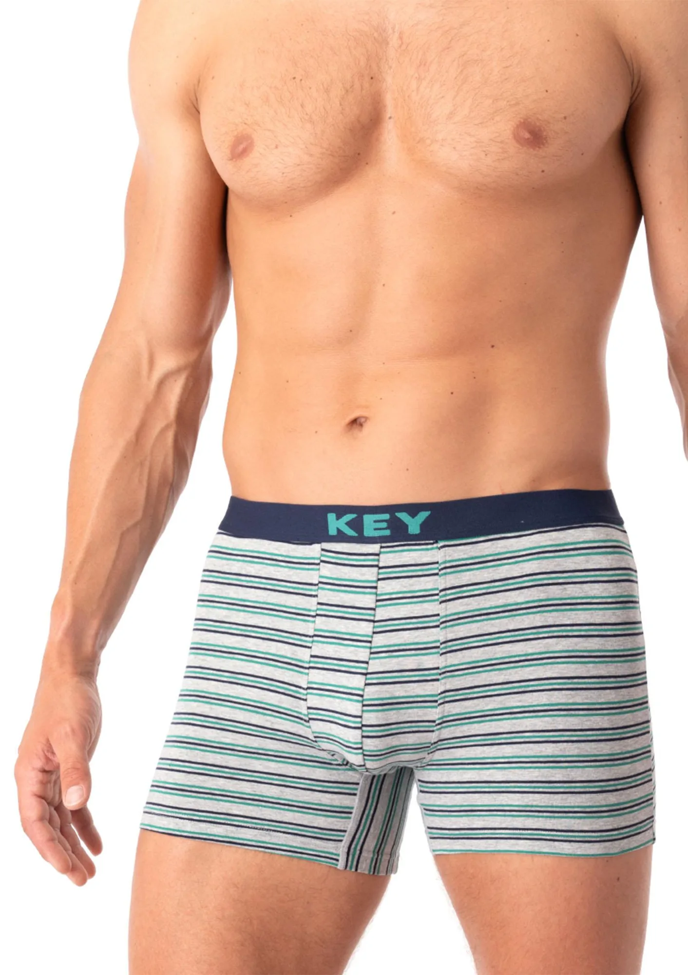 Bokserki męskie szare w paski z logowaną gumą MHX 322 Key